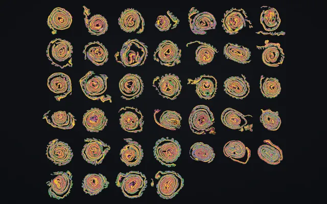 A 39-section mouse colon atlas composed into one montage, coloured by cell type.
