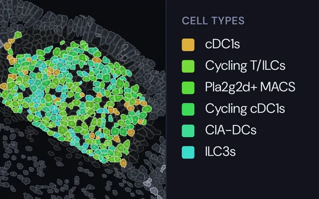 A captured view of cells coloured by type, with the cell-type legend beside it.