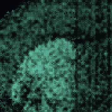 Pde10a, RNA (expression)